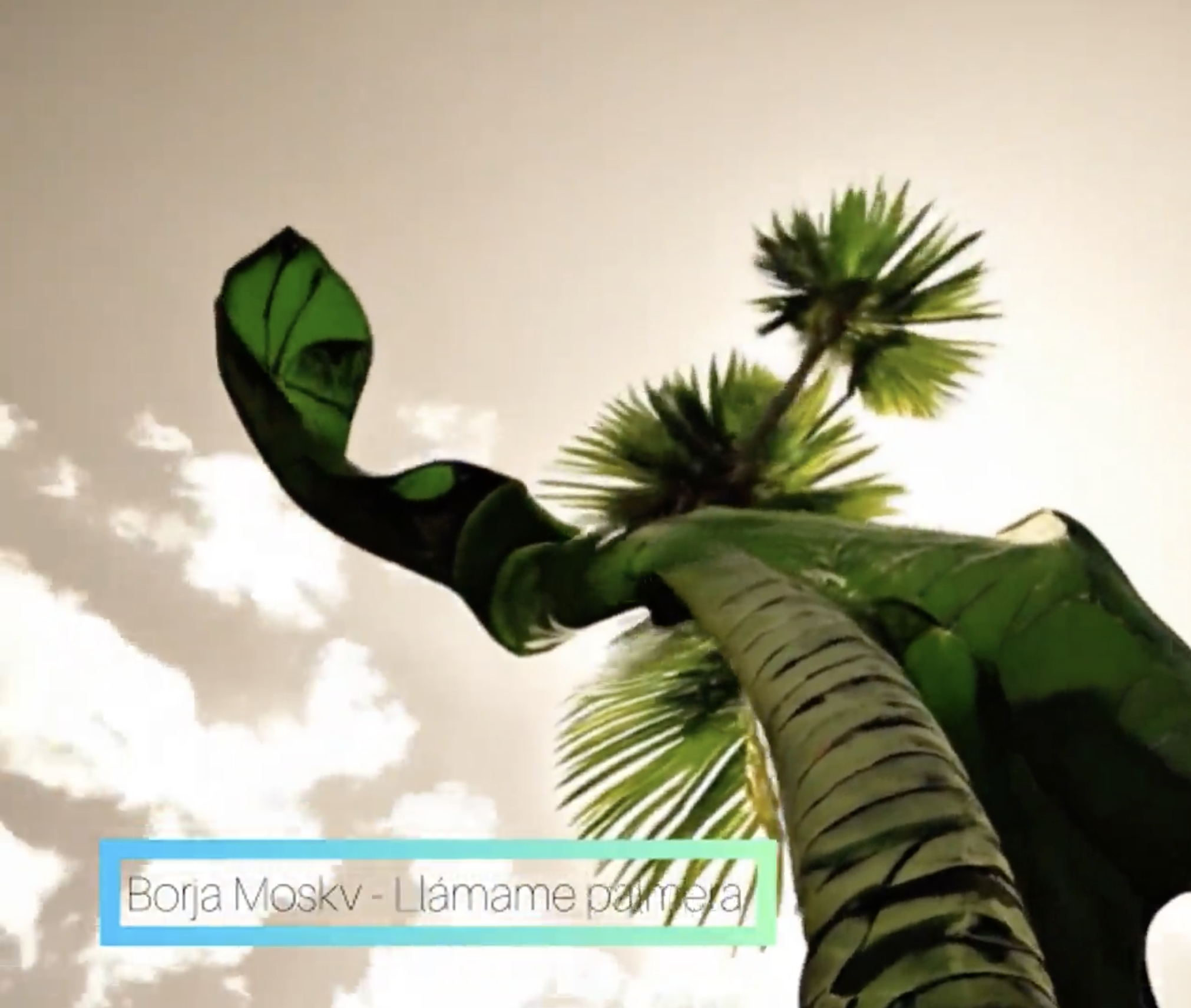 Llamamé Palmera